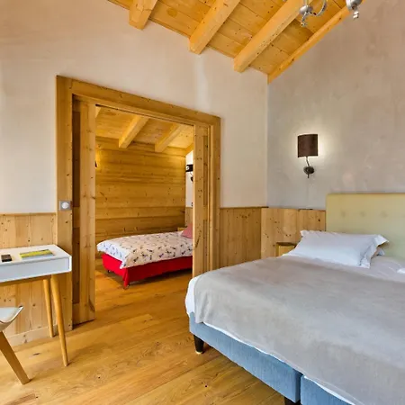 Hotel Alpina 3*