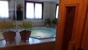 Hotel Alpina