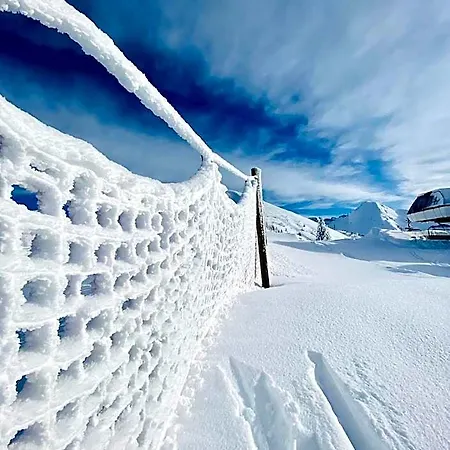 Hotel Alpina
